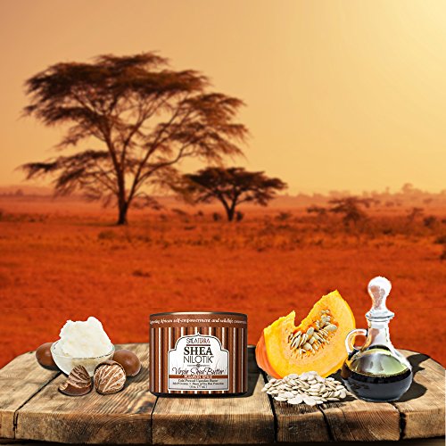 Shea Terra Organics 100% Organic Cold Pressed Virgin Shea Butter Scented with Pumpkin Seed Essential Oil and Natural… - Image 5