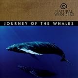 Journey Of The Whales