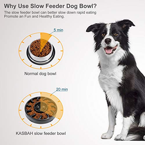 KASBAH Slow Feeder Dog Bowl for Large Dogs, Non Slip Puzzle Bowl- Anti-Gulping Dog Food Bowl Non Toxic Bloat Stop Large Dog Bowl, Black