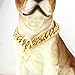 Dogs Plated Gold Stainless Steel Curb Cuban Link Chain Necklace 12