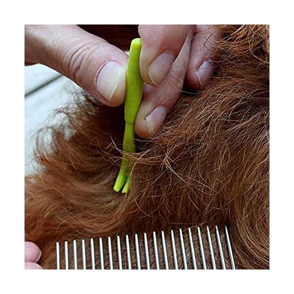 HouChanges 3Pcs Tick Remover Tool,Painlessly Tick for Dogs Cats and Humans Pets Green