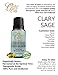 Clary Sage Essential Oil by Ovvio | Natural Essential Oils for Holistic Health | 100% Pure Aromatherapy Oil | Highest Quality from Bulgaria | Large 15ml