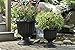 Classic Urn, Black, 19-Inch