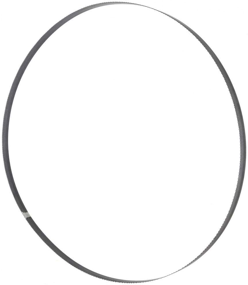 HOLZMANN MASCHINENBSB230B6 Bandsaw Blade 1575 x 6 x 0.36 mm 14 TPI