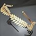 DRESHOW Roman Goddess Leaf Branch Dainty Bridal Hair Crown Head Dress Boho Alice Band