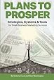 Plans to Prosper: Strategies, Systems and Tools for Small Business Marketing Success