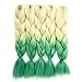 Silike Jumbo Braiding Hair Afro Crochet Braiding Hair Extensions 2 Tone Ombre Colour 24