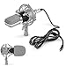 Neewer® NW-700 Professional Studio Broadcasting & Recording Condenser Microphone Set Including: (1) NW-700 Condenser Microphone + (1) Ball-type Anti-wind Foam Cap + (1) Microphone Audio Cable (Black)