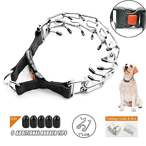 Best Dog Pinch Collars Buying Guide GistGear