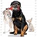 Silly Squeakers Liquor Bottle Bad Spaniels Squeaker Toy