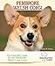 Pembroke Welsh Corgi (Breed Lover's Guide)