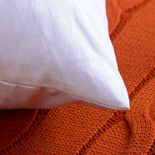 4 DOWNIGHT+Inches+Feather+Inserts+Pillows