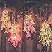 Light Up Dream Catchers for Bedroom Wall Hanging Decorations, LED Dreamcatcher Home Ornaments with 20 LED Lights,Fantasy Gifts for Kids, Caught your Dream (Purple)
