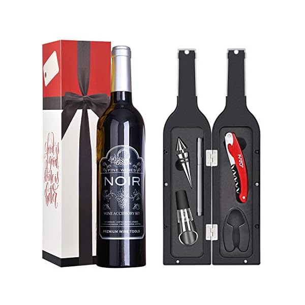 Wine Accessories Gift Set - 5 Pcs Deluxe Wine Opener Bottle Corkscrew Kit, Great Gift for Wine Lover, Gadgets for Men…