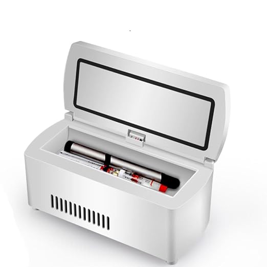 Mini Nevera Nevera Portátil Con Caja Refrigerada Con Temperatura ...