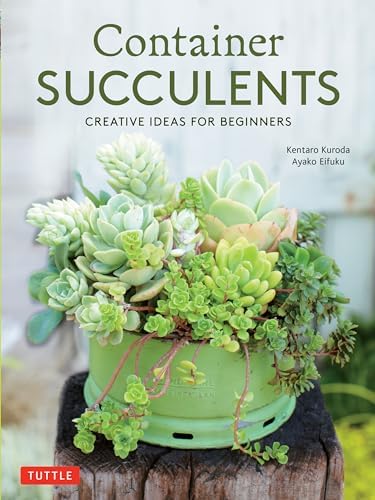 succulent bushes Succulent Squad Party Pack Houseplant - 12-Pack Grow Pot main image 1