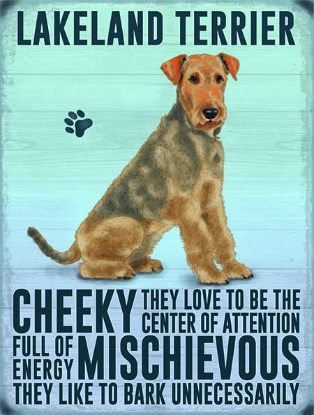 Small (150 x 200mm) Metal Sign - Lakeland Terrier Dog