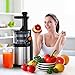 Homgeek Masticating Juicer Extractor, Slow Juicer Machine,Cold Press Juicer with Juice Jug and Cleaning Brush for High Nutritional Fruit and Vegetable Juice