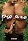 Livro Profano: Conto