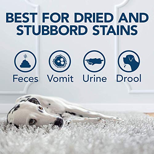 Simple Solution Oxy Charged Pet Stain and Odor Remover | Eliminates Pet Stains and Odors with 3X Cleaning Power