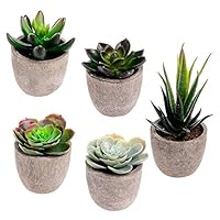 Assorted Decorative Faux Succulent Artificial Succulent Cactus Fake Cacti Plants with Gray Pots, Set of 5