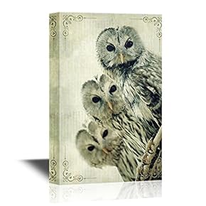 Three Owls Premium