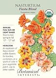 Fiesta Blend Nasturtium Seeds - 2 grams - Certified Organic