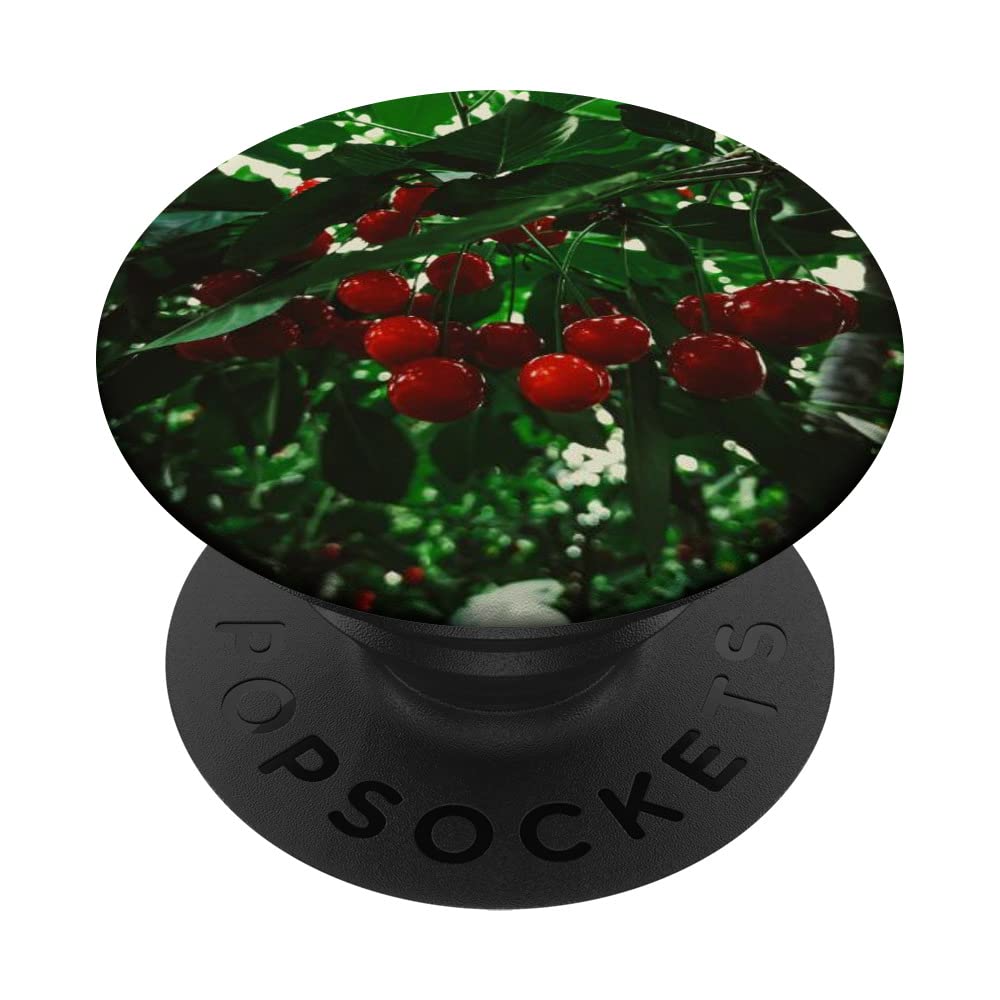 Red Cherry Fruit PopSockets Swappable PopGrip