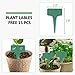 GROWNEER 4 Inch 60 Pcs Peat Pots Seed Starter