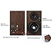 INSMART Computer Speakers, Speaker for Desktop Computer, 3.5mm Audio Interface and USB Powered PC Speaker, 10W Wooden Stereo Computer Speaker with Volume Control (P100)