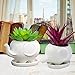 Animals Ceramic Flower Pot, Bantoye 2 Styles Elephants Succulent Planter Pots Cute White Animal Decor for Cactus & Succulent Plant