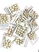 10 Pack Indian Nut 120 Seeds for Weight Loss original Nut,Indian seed