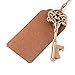 Key Bottle Opener,Woaiwo-q Wedding Favors Party Favors with Card Tag and Twine-3.14 Inches (100Gold)
