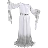 GRAJTCIN Womens Plus Size Ghost Costume Halloween Victorian Gossamer Spirit Dress