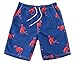 WUAMBO Athletic Men's Quickly Drying Board Shorts Flamingo Printed Swim Trunk