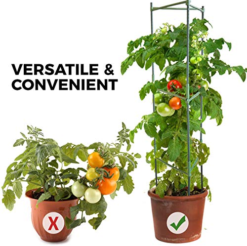 Plant Support, Sturdy Plant Support Poles, Tomato Plant Cage, Climbing Vegtables, Flowers, Fruit Grow Cage (Three Groups)