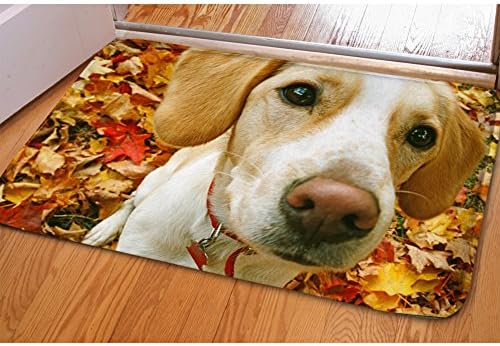 Lovely Eastera Short Hound Dog Soft Doormat Indoor Outdoor Rectangular Floor Mat for Bathroom Bedroom Kitchen Living Room