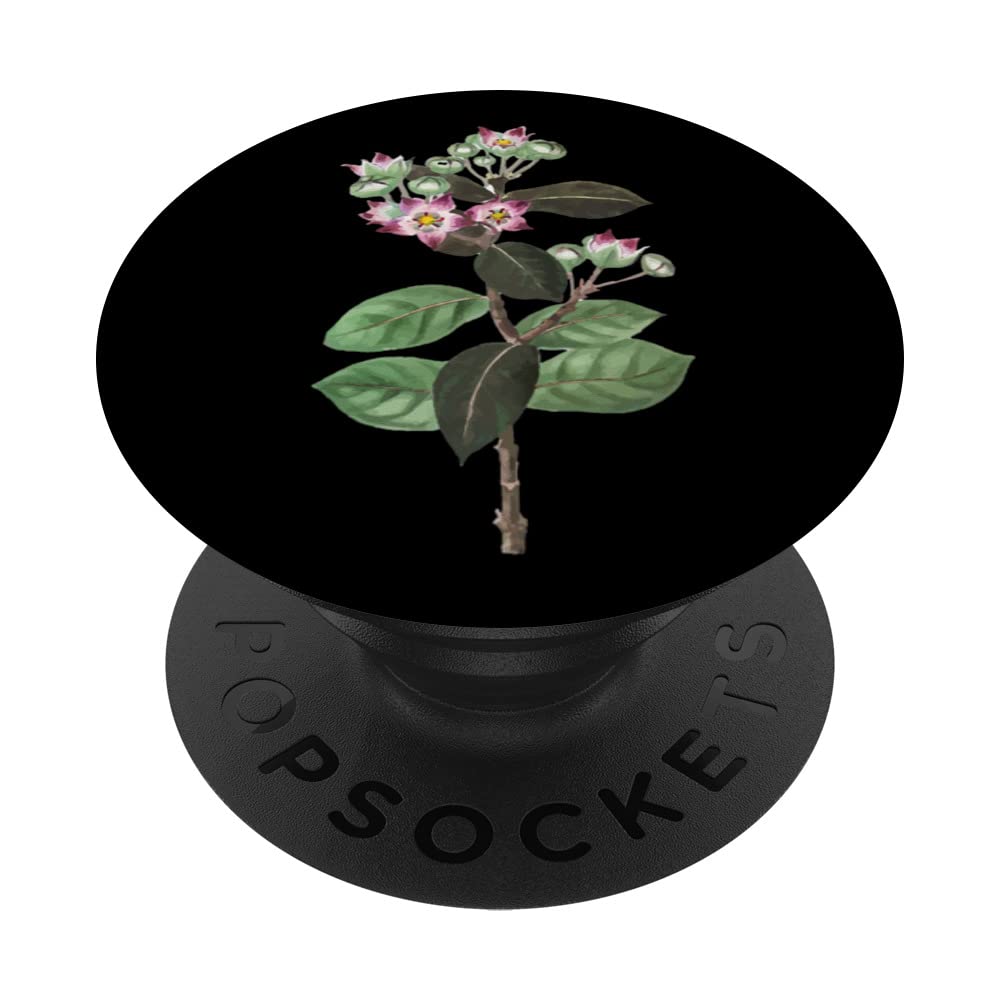 Garden Flowers Roses Flower Garden Retro Black PopSockets Swappable PopGrip