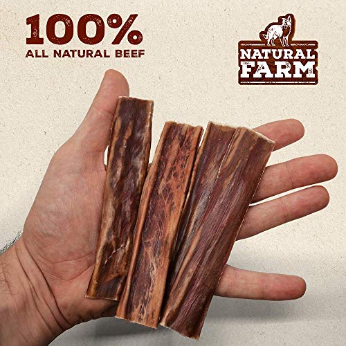 Natural Farm 5-Inch Flat Gullet Sticks (20-Pack) | Human-Grade Beef | 100% Natural | One Ingredient | Grass-Fed Beef | Dog Treats | Grain-Free | Fully Digestible | Small, Medium, Large Dogs - Thumbnail 2
