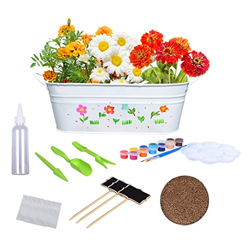 Paint & Plant Flower Growing Kit Craft Kit for Kids Gardening Science