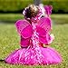 5 Piece Shimmering Fairy Princess Costume Set (Hot Pink)