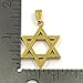 Mens Stainless Steel Gold Tone Star of David Medal Pendant 24