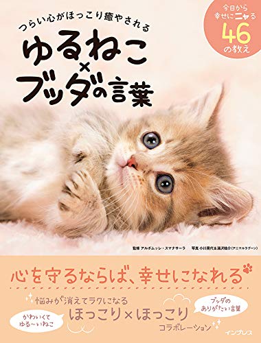 つらい心がほっこり癒やされる ゆるねこ ブッダの言葉 アルボムッレ スマナサーラ 小川晃代 湯沢祐介 配送料無料