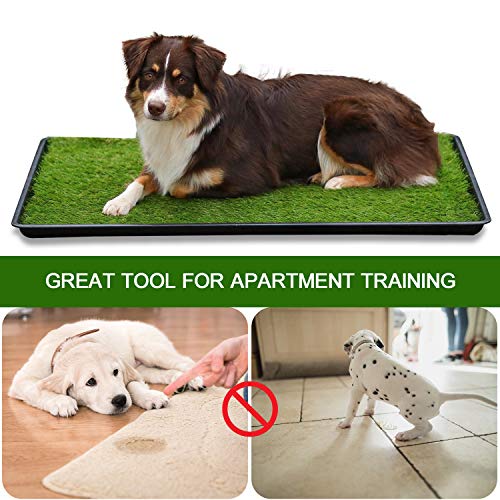 pet time grand dog toilet