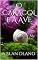 Livro O CARACOL E A AVE