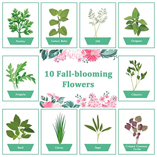KORAM Herb Garden Kit Growing Kit Gardening Starter Set- 10 Herbs Grow from Organic Seeds Indoor Herb Kit with Everything a Gardener Needs for Growing Herbs Indoors, Kitchen, Balcony Christmas Gift