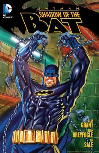 Amazon.com: Batman: The Dark Knight Detective Vol. 1