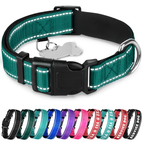TECEUM Reflective Padded Dog Collar