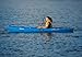 SUNDOLPHIN Sun Dolphin Bali SS Sit-on top Kayak (Blue, 12-Feet)