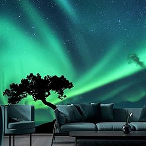 signwin Wall Mural The Beautiful Space World Removable...